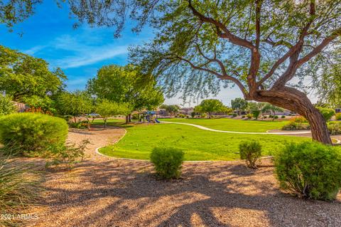 2445 E Oakland St, Gilbert, AZ 85295 photo 68