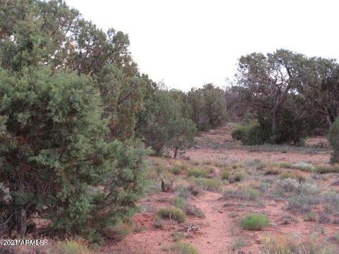 4365 4359 E Pinto Rd #-, Snowflake, AZ 85937 photo 3