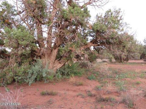 4365 4359 E Pinto Rd #-, Snowflake, AZ 85937 photo 6