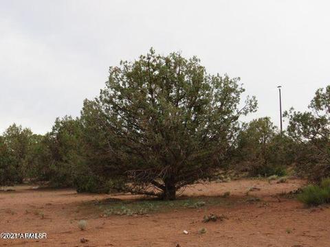 4365 4359 E Pinto Rd #-, Snowflake, AZ 85937 photo 8