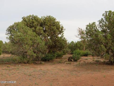 4365 4359 E Pinto Rd #-, Snowflake, AZ 85937 photo 9