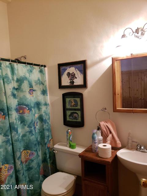 3503 Broken Arrow Rd, Overgaard, AZ 85933 photo 11