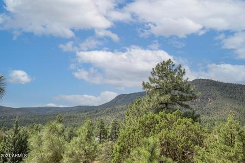 6636 W Wolfpaw Ln, Pine, AZ 85544 photo 38