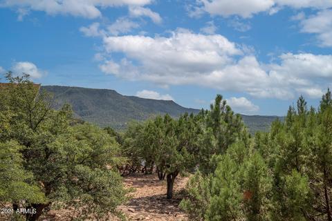 6636 W Wolfpaw Ln, Pine, AZ 85544 photo 35
