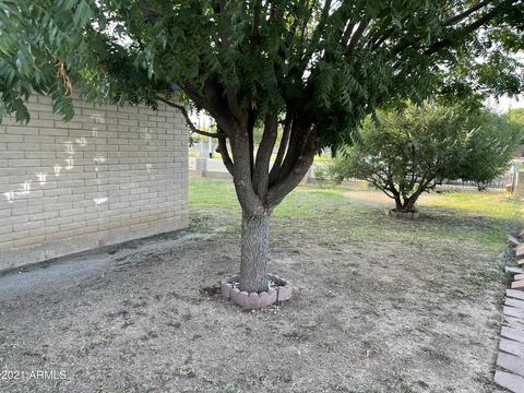 2335 E 11th St, Douglas, AZ 85607 photo 3