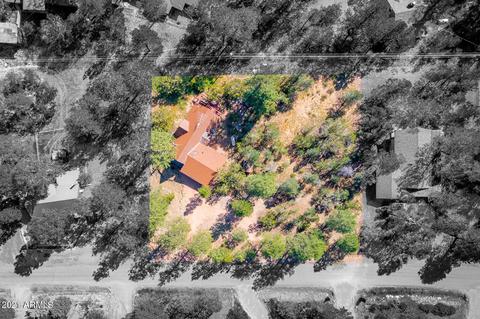 3325 Panorama Dr, Overgaard, AZ 85933 photo 18