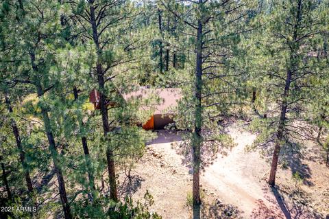 3325 Panorama Dr, Overgaard, AZ 85933 photo 14