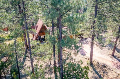 3325 Panorama Dr, Overgaard, AZ 85933 photo 15