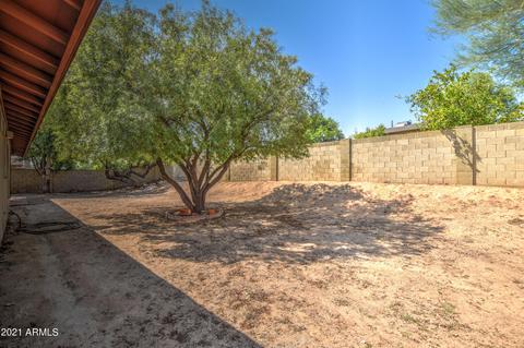 12002 S Oneida St, Phoenix, AZ 85044 photo 46
