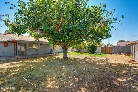 4016 E Gelding Dr, Phoenix, AZ 85032 photo 5