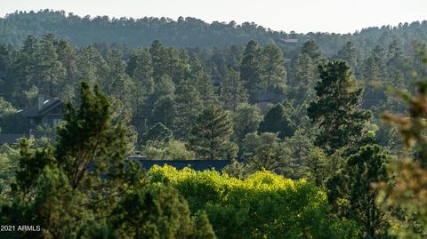 706 N Grapevine Dr, Payson, AZ 85541 photo 57