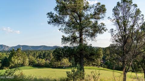 706 N Grapevine Dr, Payson, AZ 85541 photo 59