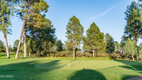 706 N Grapevine Dr, Payson, AZ 85541 photo 70