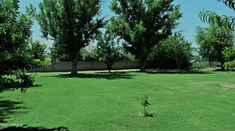 2797 E Cattle Dr, Gilbert, AZ 85297 photo 4