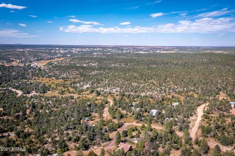 3617 Chevera Cir, Overgaard, AZ 85933 photo 33