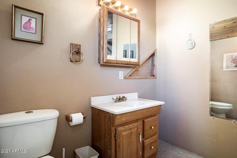 3617 Chevera Cir, Overgaard, AZ 85933 photo 24