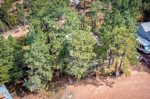 3617 Chevera Cir, Overgaard, AZ 85933 photo 27