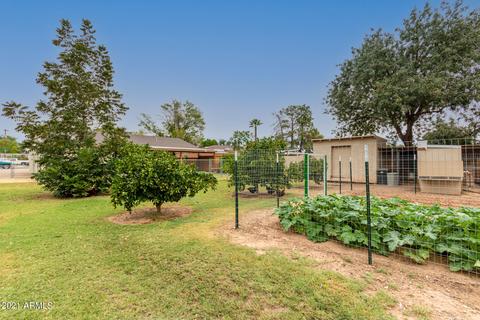 705 E 1st St, Mesa, AZ 85203 photo 29