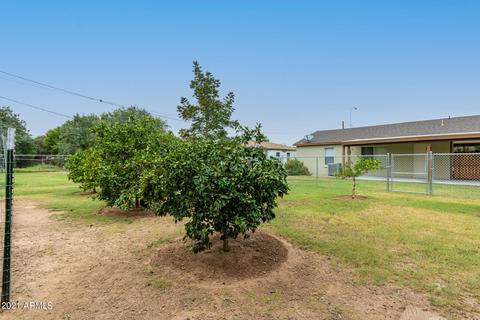 705 E 1st St, Mesa, AZ 85203 photo 26