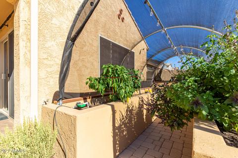 3327 E Indigo St, Gilbert, AZ 85298 photo 41