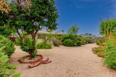 6038 E Albany St, Mesa, AZ 85205 photo 26