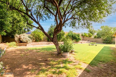 7462 E Ivyglen St, Mesa, AZ 85207 photo 21
