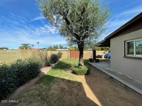 15622 N 23rd Pl, Phoenix, AZ 85022 photo 24