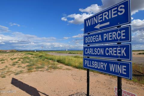 6768 S Wayward Winds Rd, Willcox, AZ 85643 photo 21