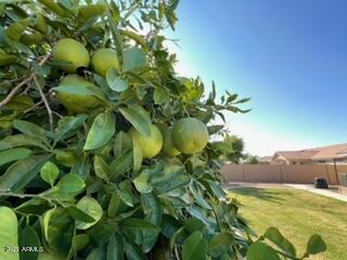 2911 E Morgan Dr, Gilbert, AZ 85295 photo 22