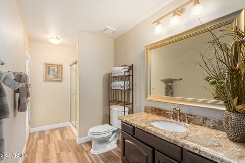 1729 E Brookwood Ct, Phoenix, AZ 85048 photo 43