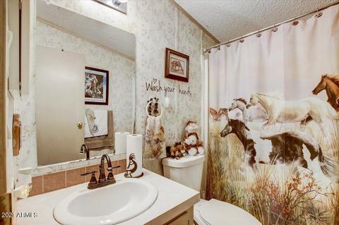 4820 N San Marcos Dr, Apache Junction, AZ 85120 photo 18
