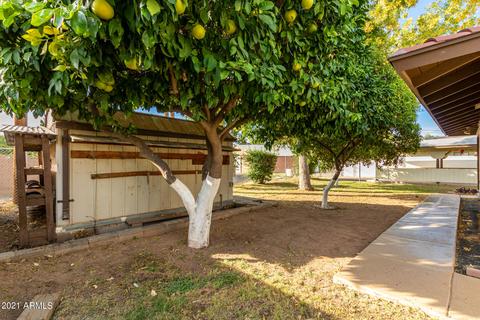 3624 N 39th St, Phoenix, AZ 85018 photo 34