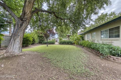 3837 N 50th St, Phoenix, AZ 85018 photo 19