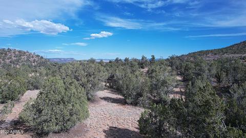 52471 N Camino Gato -- #2099, Seligman, AZ 86337