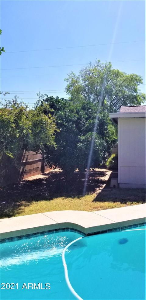 2738 E Decatur --, Mesa, AZ 85213 photo 51