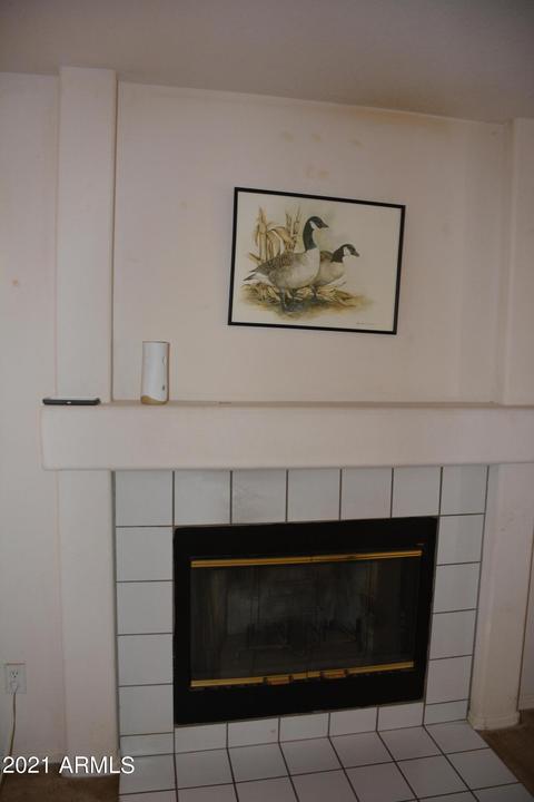 1052 E Greenlee Ave, Apache Junction, AZ 85119 photo 4