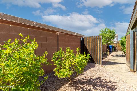 9921 El Moro Ave, Mesa, AZ 85208 photo 25