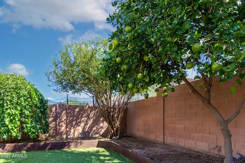 9921 El Moro Ave, Mesa, AZ 85208 photo 26