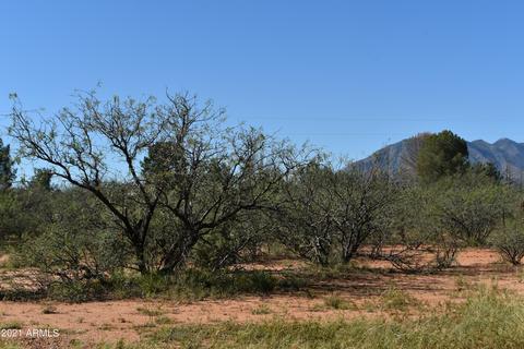 8925 E Chippewa St E, Hereford, AZ 85615 photo 49