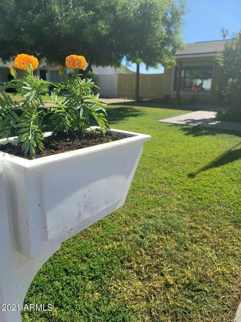 2429 E Dahlia Dr, Phoenix, AZ 85032 photo 5