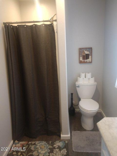 3763 N Anvil Rd, Pine, AZ 85544 photo 30