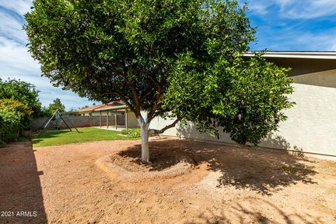 2419 E Jensen St, Mesa, AZ 85213 photo 35