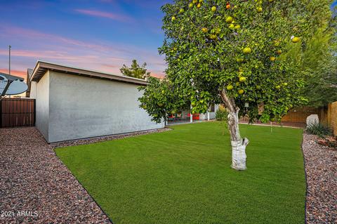 3501 E Acoma Dr, Phoenix, AZ 85032 photo 47