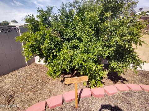 507 S 97th Pl, Mesa, AZ 85208 photo 35