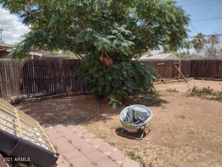 2927 E Osborn Rd, Phoenix, AZ 85016 photo 5