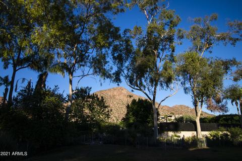 4984 E Camelback Rd, Phoenix, AZ 85018 photo 13