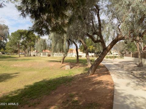 1446 E Commerce Ave, Gilbert, AZ 85234 photo 12