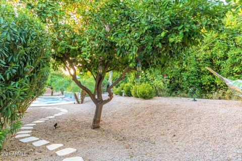 3928 Encanto St, Mesa, AZ 85205 photo 96