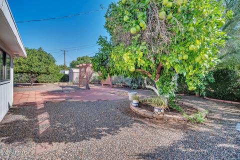 269 N 55th Pl, Mesa, AZ 85205 photo 15
