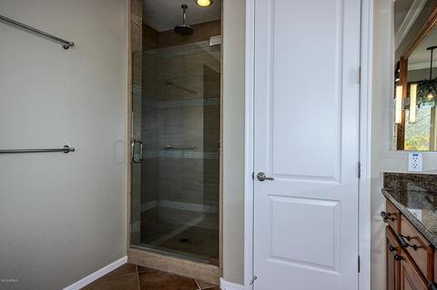 3917 E Half Hitch Pl, Phoenix, AZ 85050 photo 43